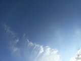 1731782117417934