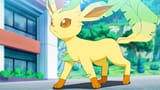Perrin_Leafeon