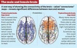 brains