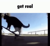 1728829363652713