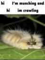-6827664848730514462_thumb.jpg