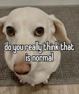 4ae48d2d42af56fd7ed2690e9c9a1046