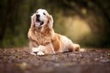 iStock-1052880600
