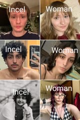 femaletoinceltofemale