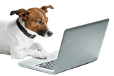 pngtree-dog-computer-typing-photo-png-image_14197670