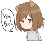 you-fool