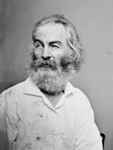 Walt-Whitman-photograph-Mathew-Brady