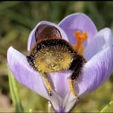 IMG_20250713_164631_376