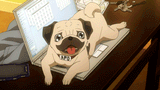 qt apo