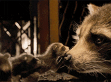rocket-racoon-sad