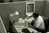 guaton-computadora-2668506271