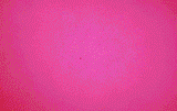 tumblr_9eee07469a9298b339b20da5ad6762b5_e72f033f_400