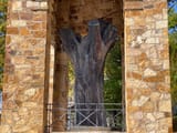 5314fbda-575c-4849-b8d7-e7e6b0e5c0c0274ee2d37cb2a9c347_The Constitution Elm Trunk Across the Way