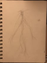 IMG_3488