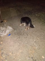 IMG_20250716_213543587