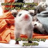 imajrfgge