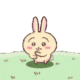 chiikawa-usagi