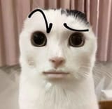 1741944711705988