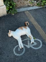 FB_IMG_1752467122942
