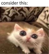 Consider_This