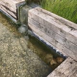 JMV-PondLadder_web1200px-1200x1200