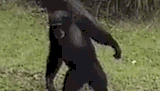 1752890592301510