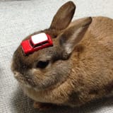 8655521012_441d97f88d_z