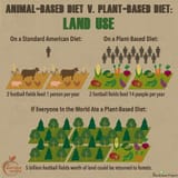 meat_vs_plants