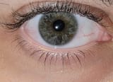 Aye eye, Captain