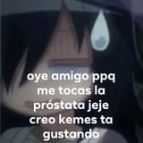 soymaricon