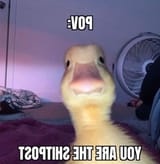 RDT_20210714_1816432448813962190344054