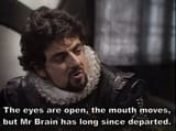 brain