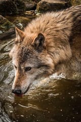 IMG_6301