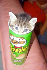 pingles