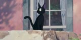 jiji-kiki-ghibli-list-Cropped