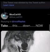 grrr