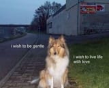 GSbVNhxWkAEu3_U