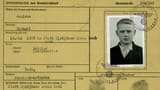 papersplease