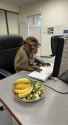 monkey writing mean reply _thumb.jpg