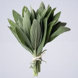 Herb-–-Sage-450x450