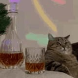 cat-whisky