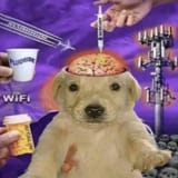 Thread 40485238 OP Image