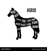 horse-meat-cutting-charts-vector-27313048