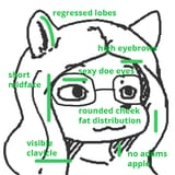 gleSkullShape