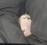 F9dFn24XEAEsmGe