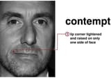 contempt