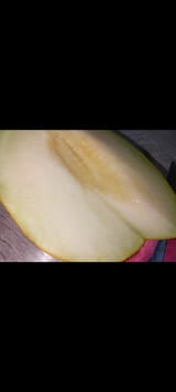 1726666168376123