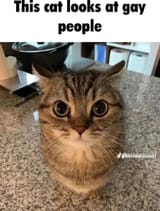 Thread 40482844 OP Image
