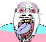 Thread 40483285 OP Image