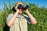 istockphoto-185304926-612x612